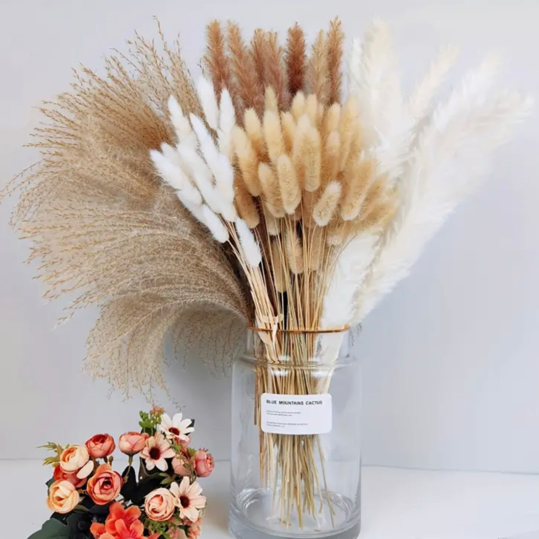 Fleurs de pampas séchées style bohème - Flora